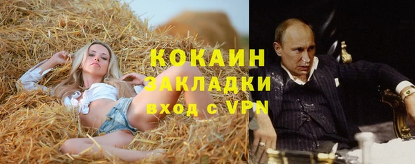 спиды Алзамай