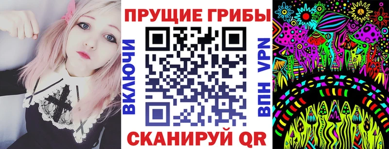 Псилоцибиновые грибы MAGIC MUSHROOMS  Стародуб 