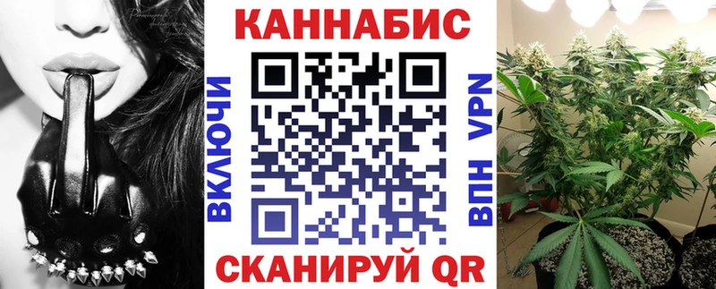 Конопля сатива  Стародуб 